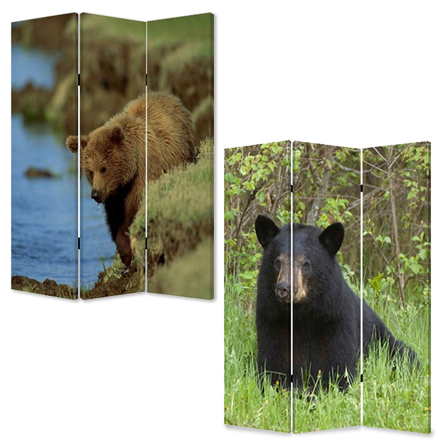48" X 72" Multi Color Wood Canvas Bear Screen