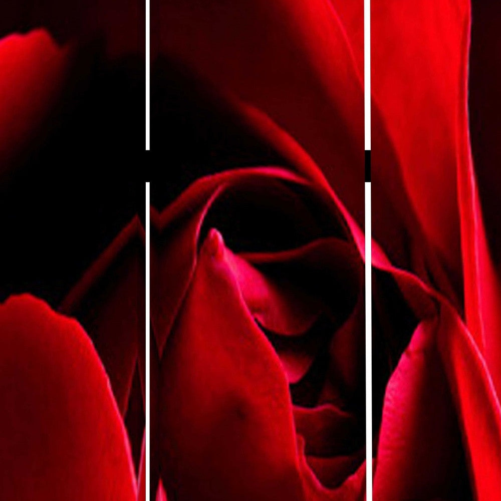 48 X 72 Multi Color Wood Canvas Rose Screen
