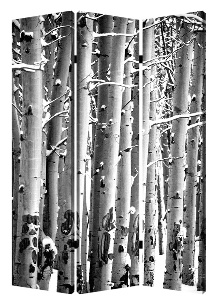 48" X 72" Gray And White Wood Canvas Birch Screen