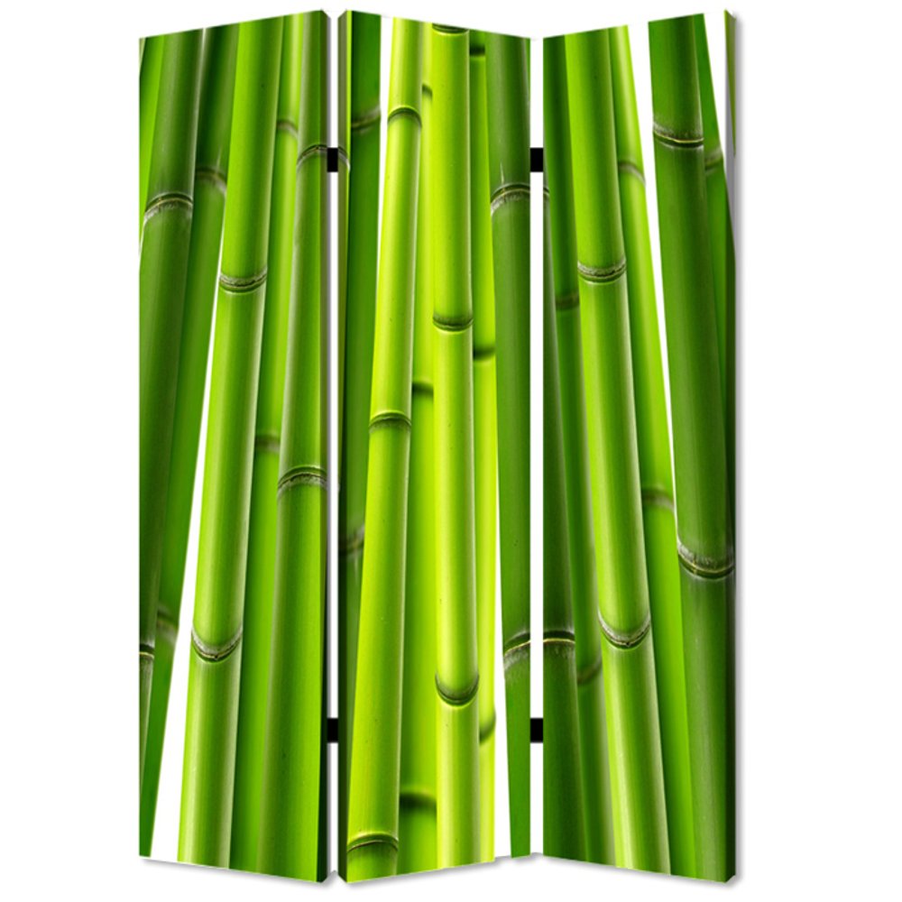 48" X 72" Multi Color Wood Canvas Bamboo Screen