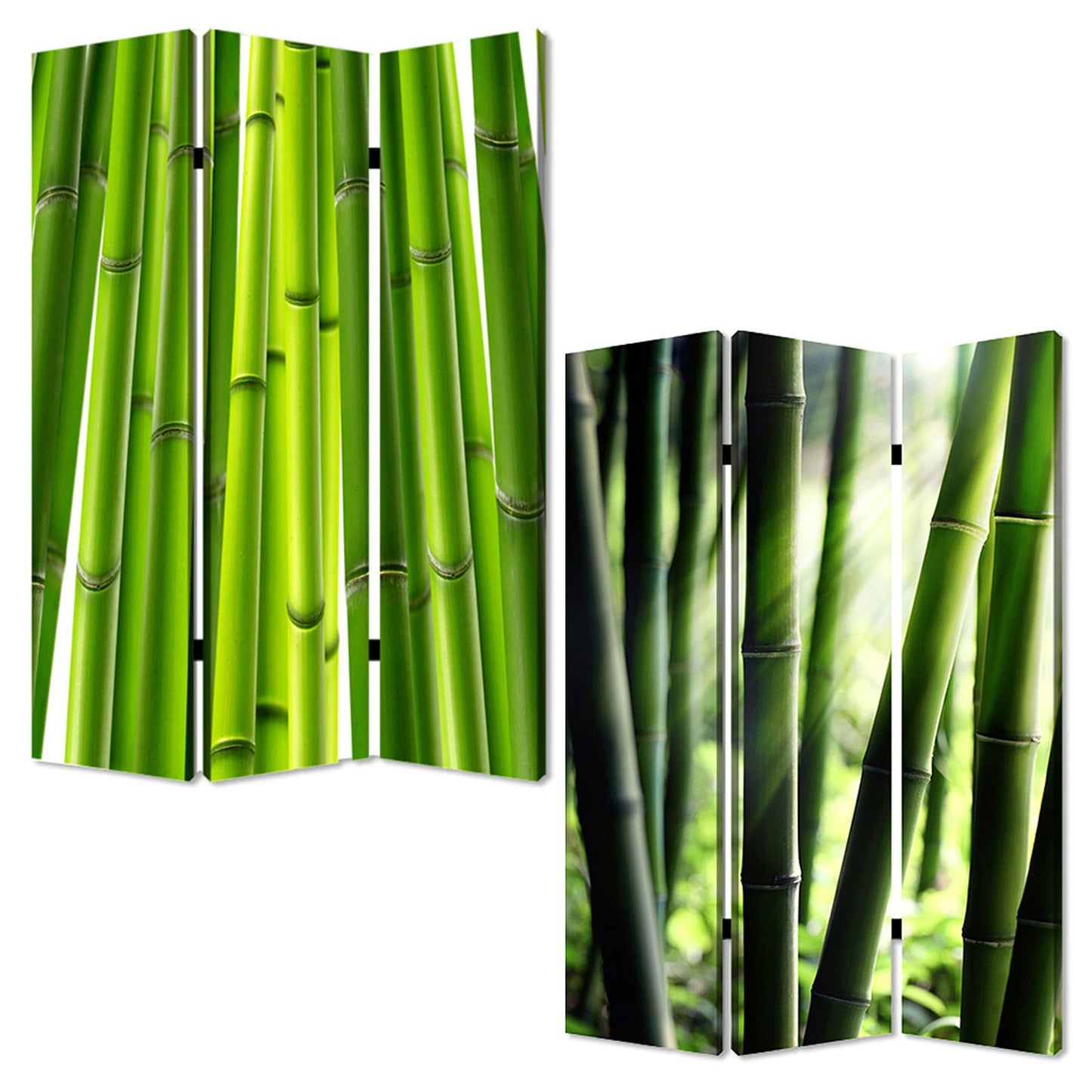 48" X 72" Multi Color Wood Canvas Bamboo Screen