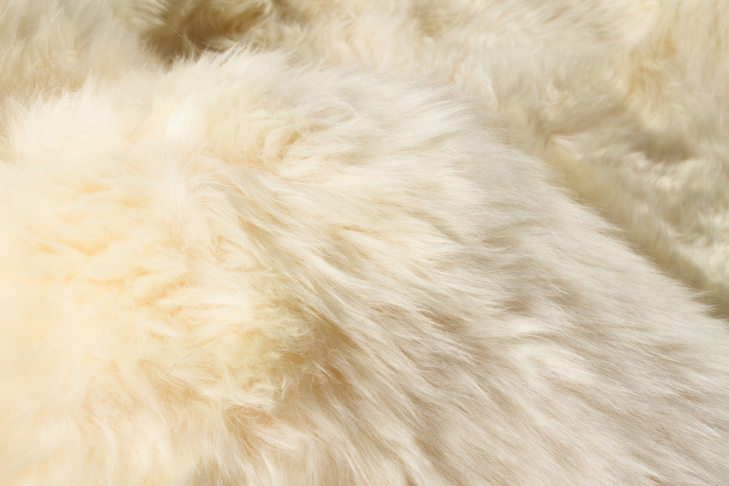 4' X 6' Pink Genuine Sheepskin Shag Area Rug