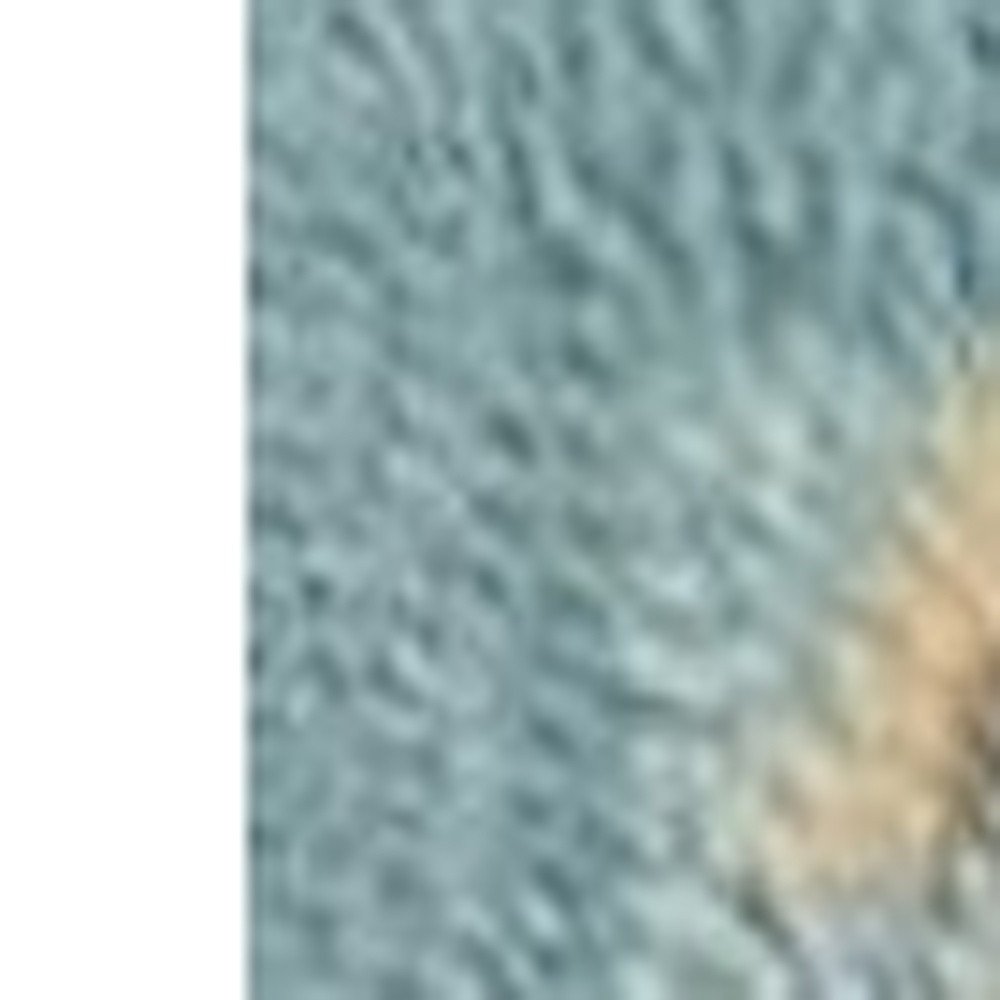 5' X 7' Blue Beige And Green Seashell and Coral Hand Hooked Area Rug