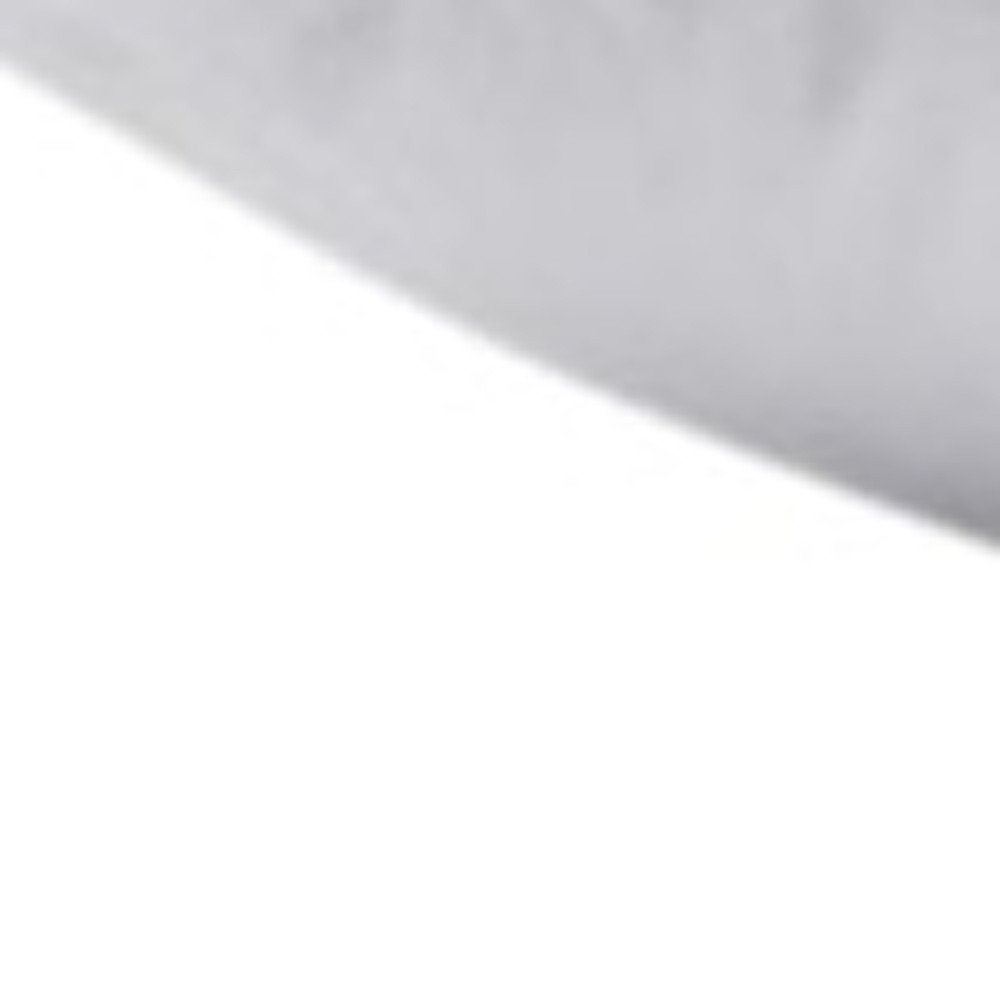 Set of Two Down Alternative Firm Queen Size Bed Pillows