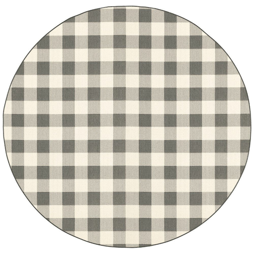 2' X 4' Gray And Ivory Indoor Outdoor Area Rug