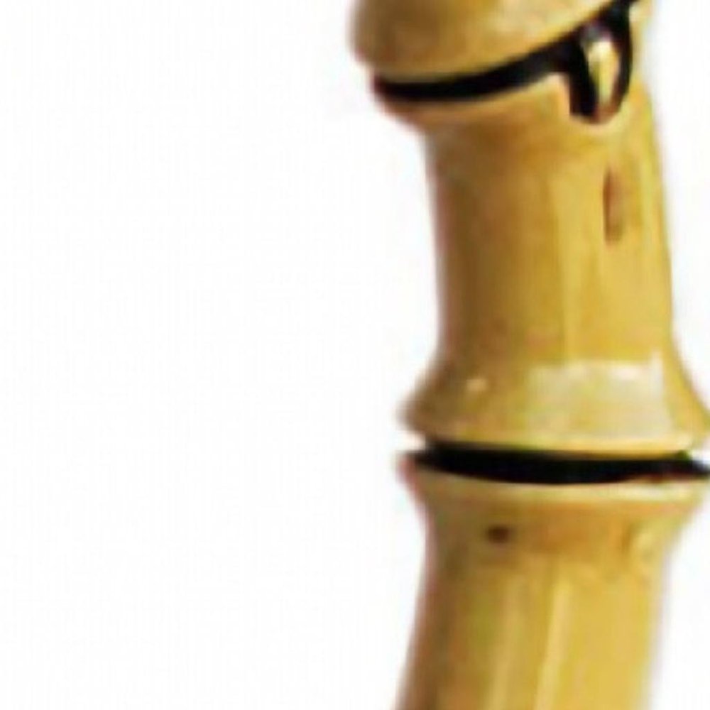 3 Quart Clear and Green Palm Tree Acrylic Pitcher