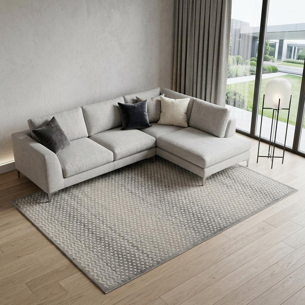 7' X 10' Gray and Beige Moroccan Distressed Area Rug