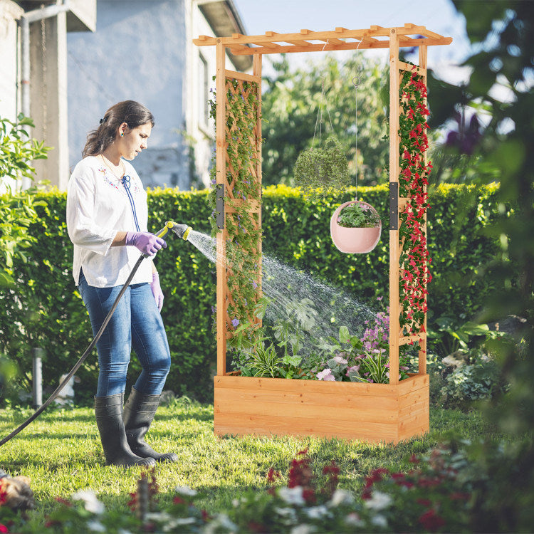 Raised Garden Bed with Arch Trellis - Perfect for Climbing Plants