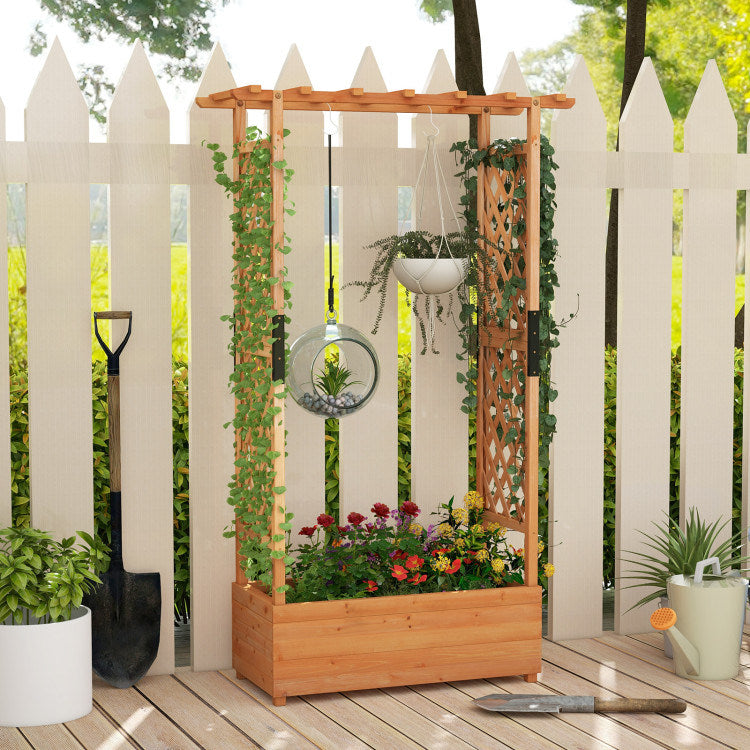 Raised Garden Bed with Arch Trellis - Perfect for Climbing Plants
