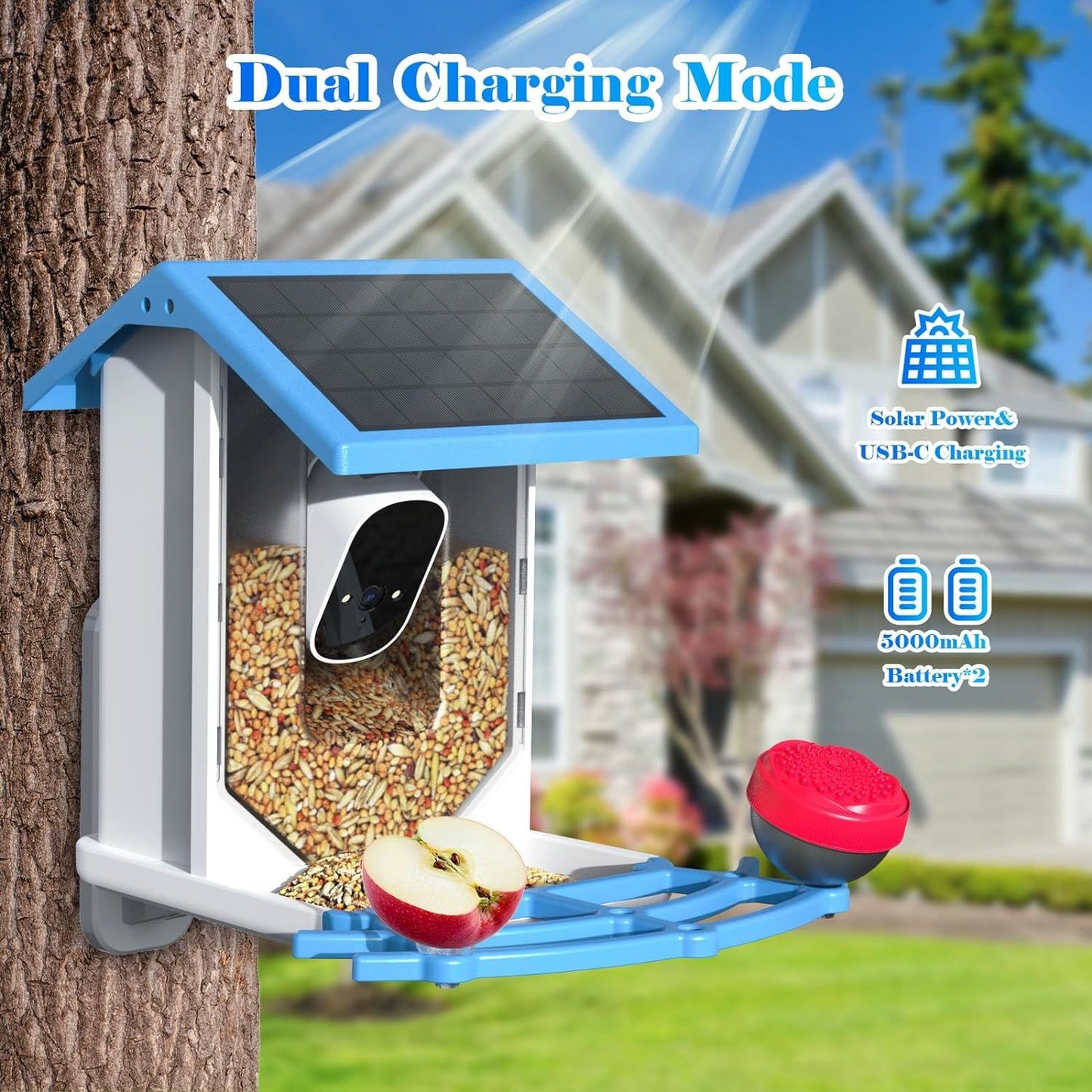 Smart Bird Feeder with Camera - Solar-Powered WiFi 4MP Live Camera