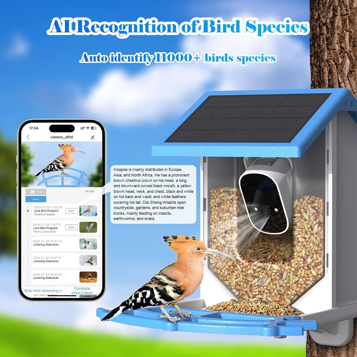 Smart Bird Feeder with Camera - Solar-Powered WiFi 4MP Live Camera