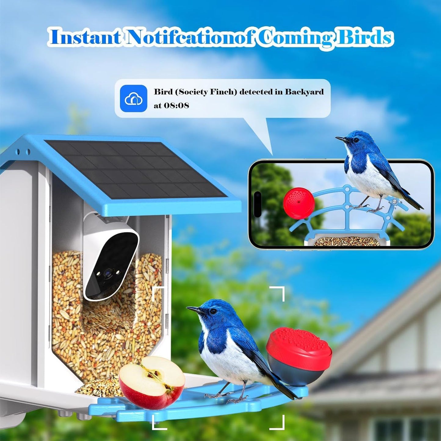 Smart Bird Feeder with Camera - Solar-Powered WiFi 4MP Live Camera