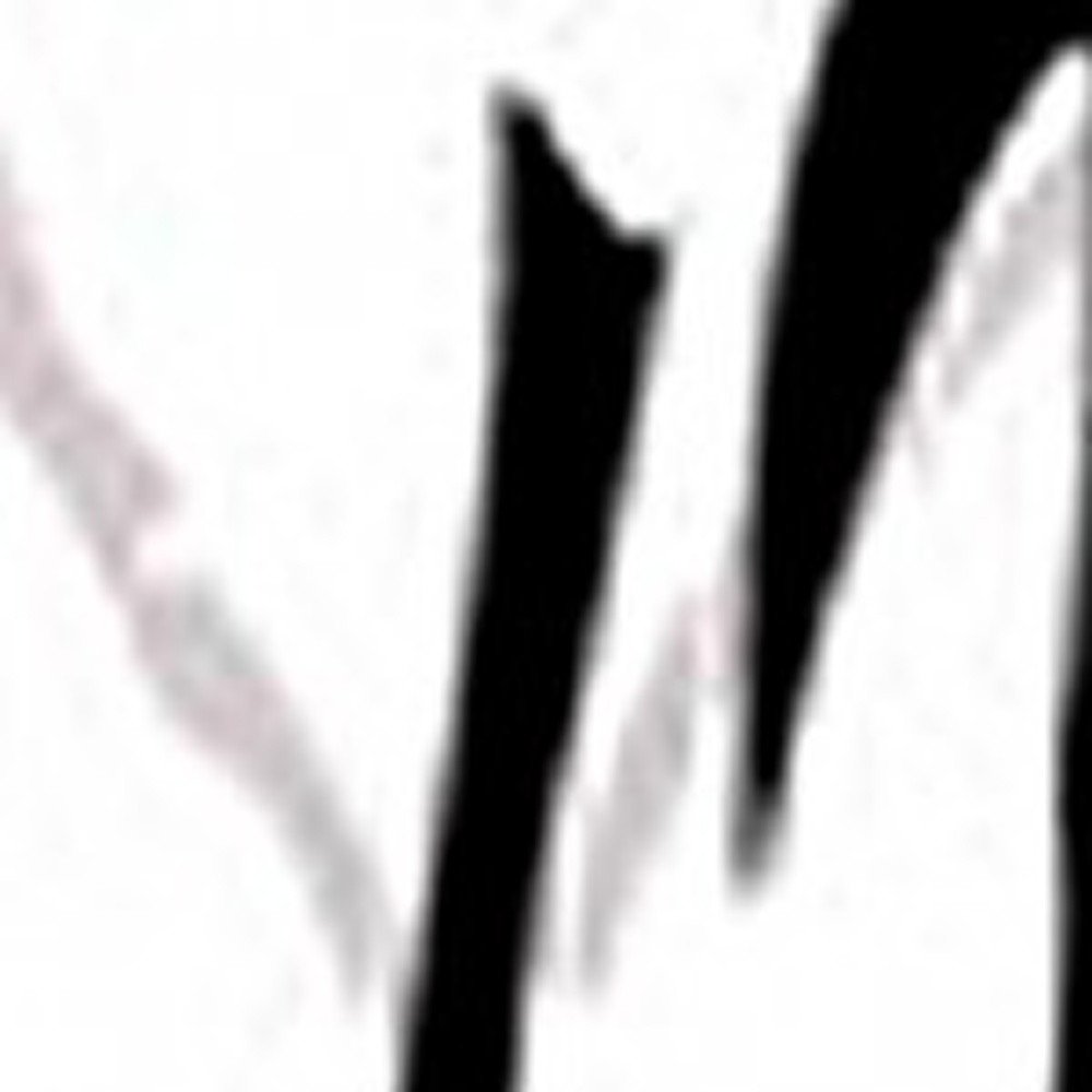 48 X 72 Multi Color Wood Canvas Bamboo Leaf  Screen