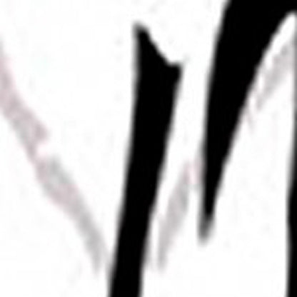 48 X 72 Multi Color Wood Canvas Bamboo Leaf  Screen