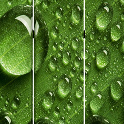 48" X 72" Multi Color Wood Canvas Rain  Screen