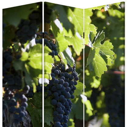 48" X 72" Multi Color Wood Canvas Wine Country  Screen