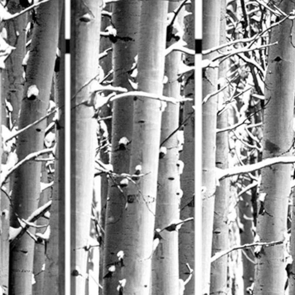 48" X 72" Gray And White Wood Canvas Birch  Screen
