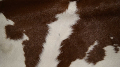 2' X 3' Brown and White Cowhide Hand Woven Area Rug