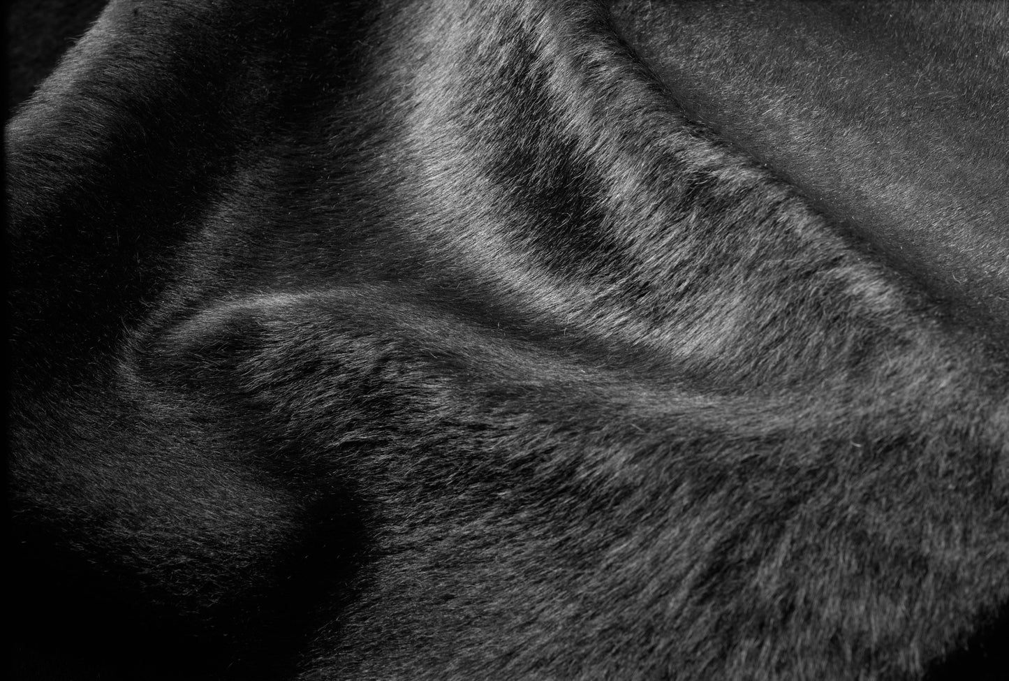 6' X 7' Black Cowhide Area Rug