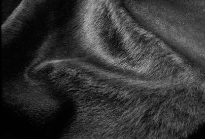 6' X 7' Black Cowhide Area Rug