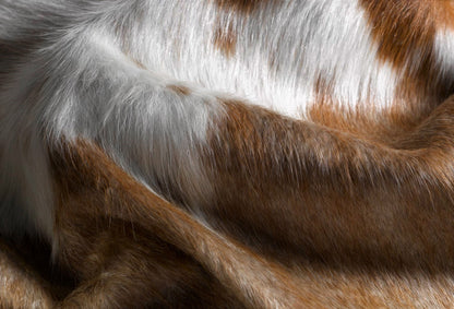 6' X 7' Black And White Cowhide Animal Print Area Rug