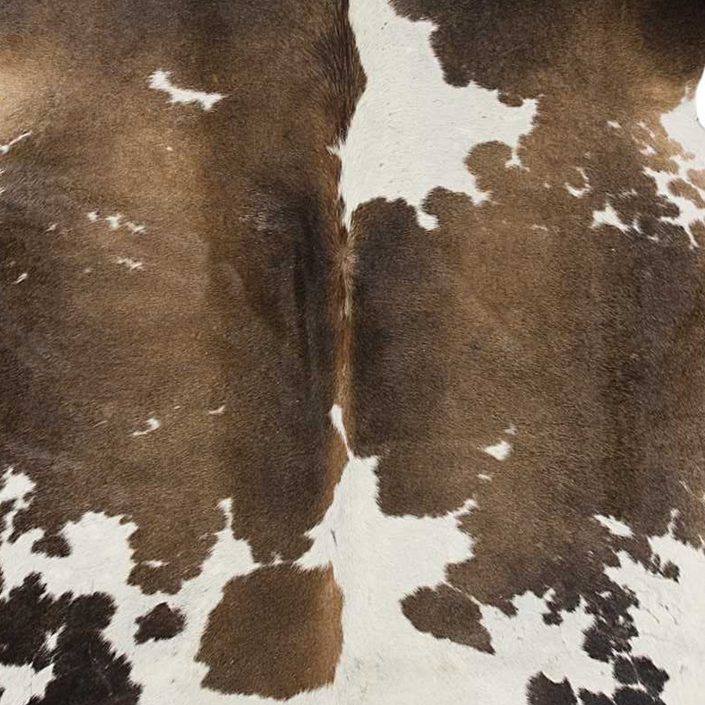 Black And White Cowhide Animal Print Area Rug