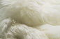 2' X 3' White Animal Print Area Rug