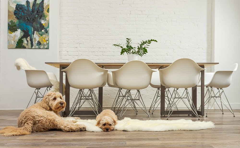 6' Natural Genuine Sheepskin Animal Print Shag Area Rug