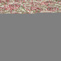 50" X 70" Green and Red Kantha Cotton Damask Throw Blanket with Embroidery