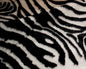 2' X 3' Black and White Zebra Print Area Rug