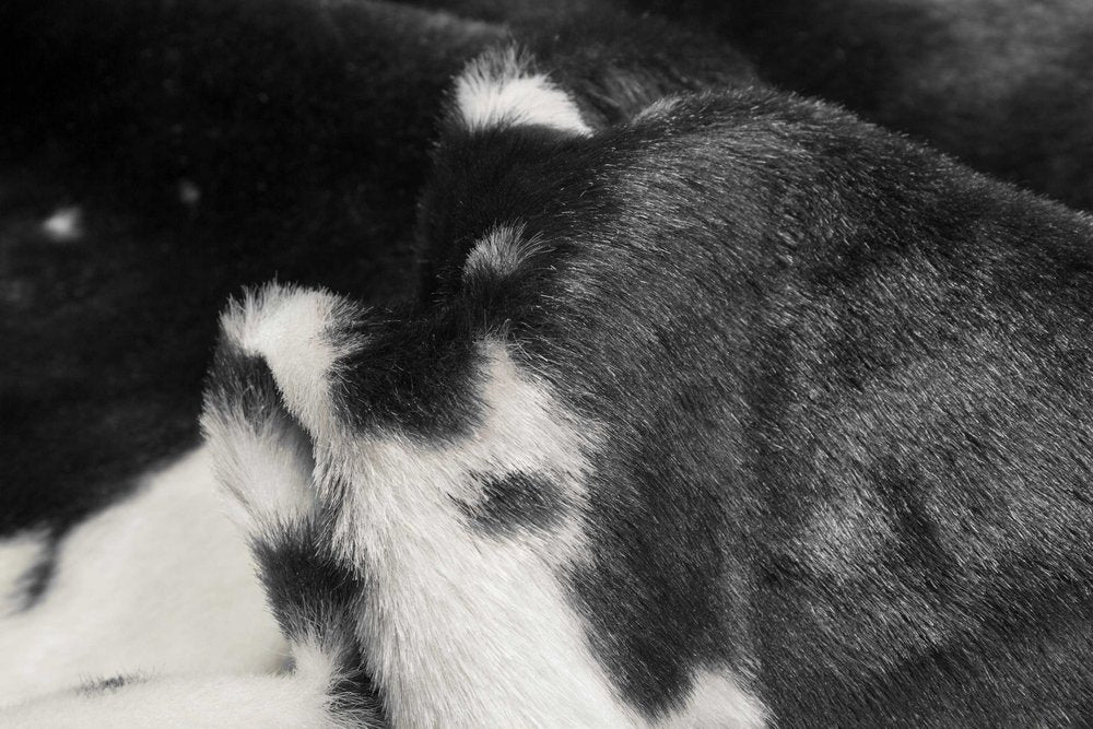 4' X 5' Brown And White Faux Fur Animal Print Washable Area Rug