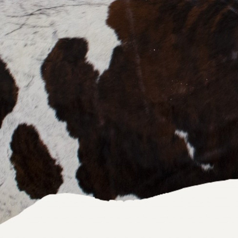 6' X 7' Brown And Black Cowhide Cowhide Print Area Rug