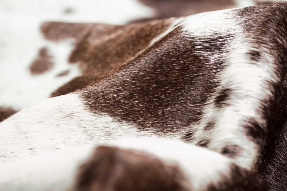 6' X 7' White Cowhide Cowhide Print Area Rug