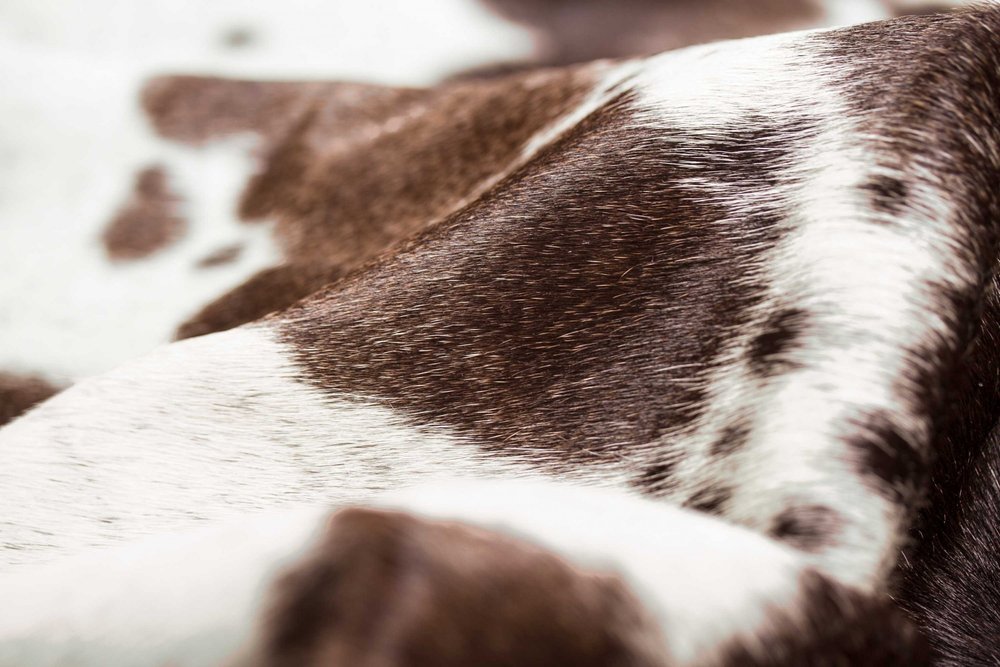 6' X 7' White Cowhide Cowhide Print Area Rug
