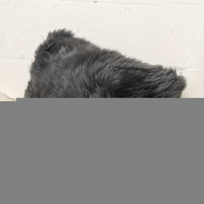 12" X 20" X 5" Gray Sheepskin  Pillow 2 Pack