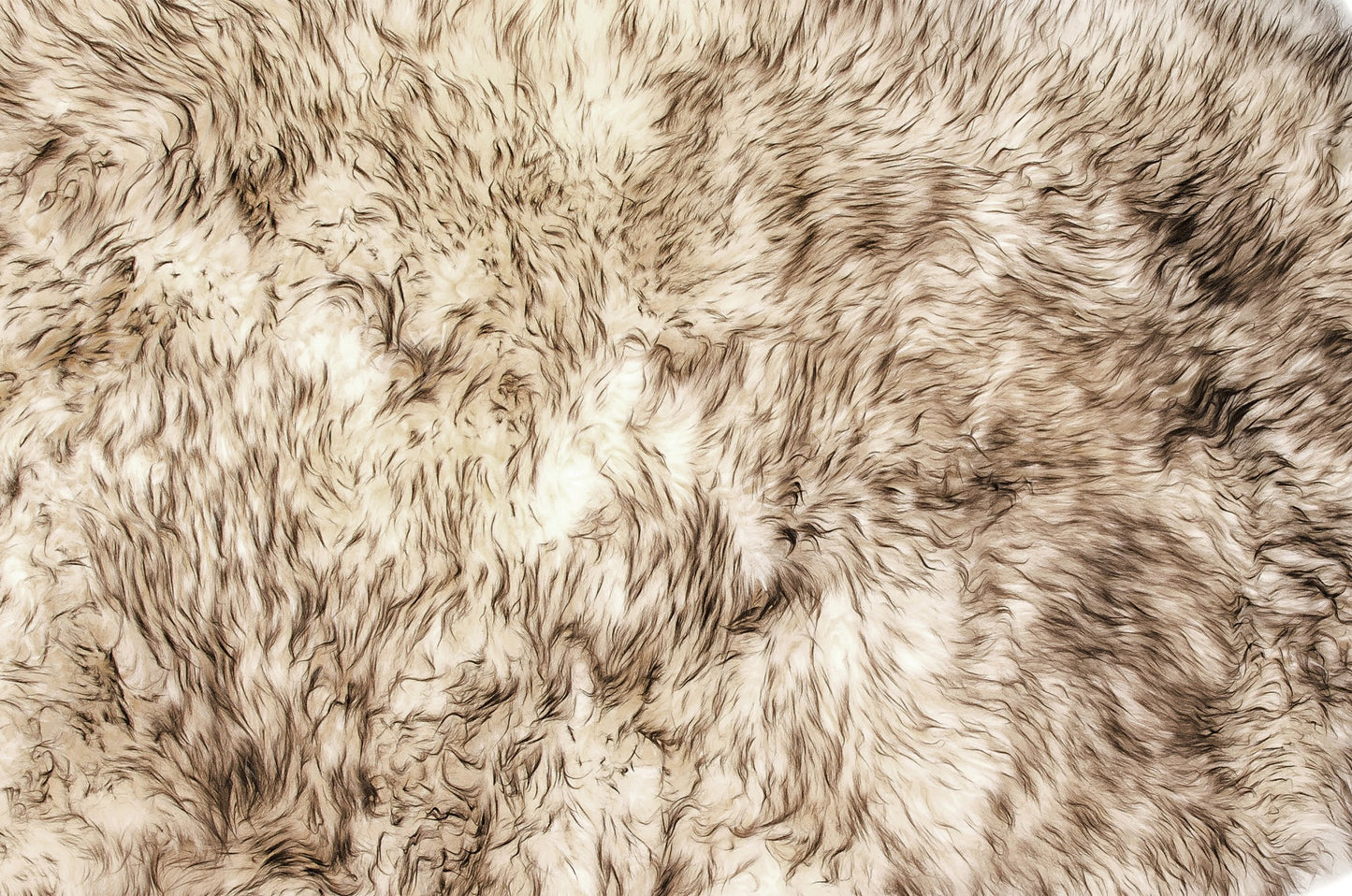 72" X 72" Gradient Chocolate Octo Sheepskin - Area Rug