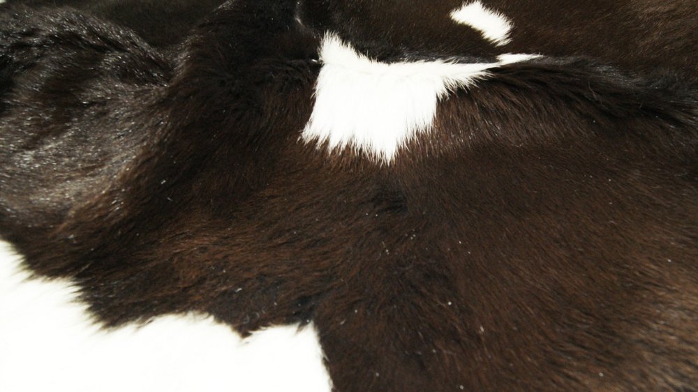 2' X 3' Brown And White Cowhide Abstract Hand Woven Area Rug