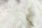 5' X 6' Off White Animal Print Shag Area Rug