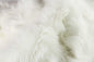 6' X 6' Off White Animal Print Shag Area Rug