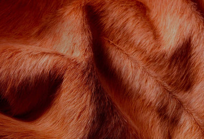 6' X 7' Brown Cowhide Area Rug