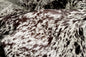 6' X 7' Brown And White Cowhide Cowhide Print Area Rug