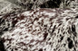 6' X 7' Brown And White Cowhide Cowhide Print Area Rug