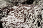 6' X 7' Brown And White Cowhide Cowhide Print Area Rug