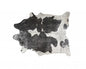 6' X 7' Gray Cowhide Cowhide Print Area Rug