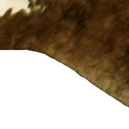 6' X 7' Champagne Cowhide Handmade Area Rug