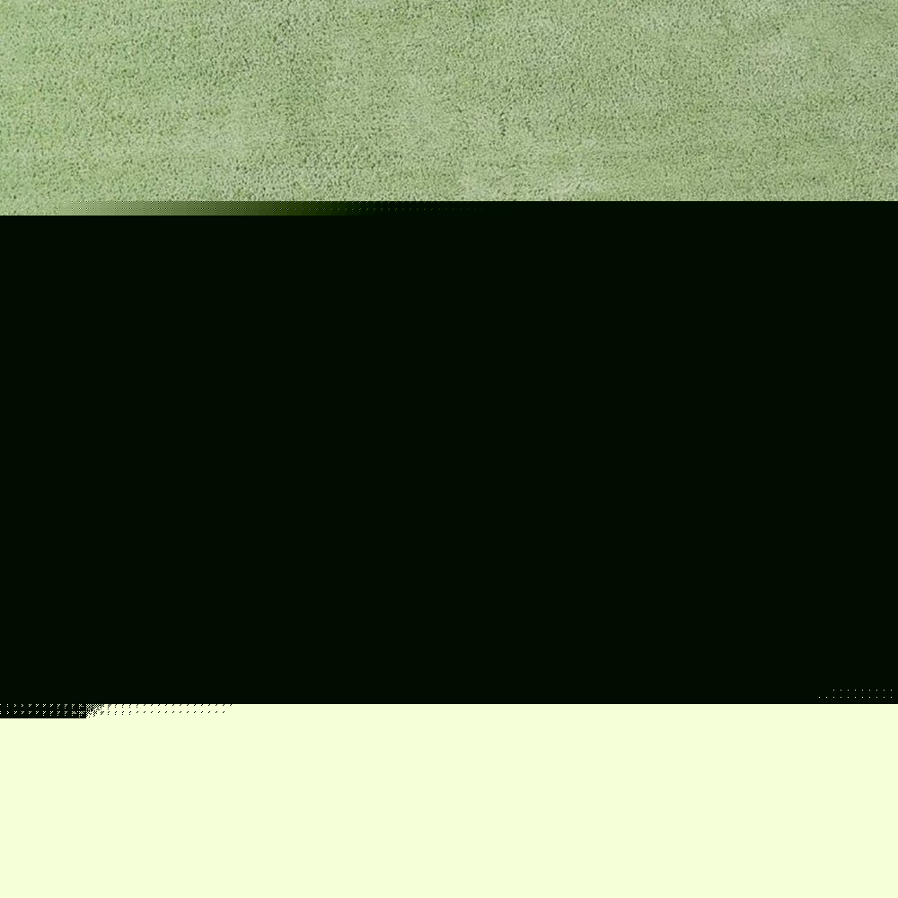 5' X 7' Green Shag Hand Woven Area Rug