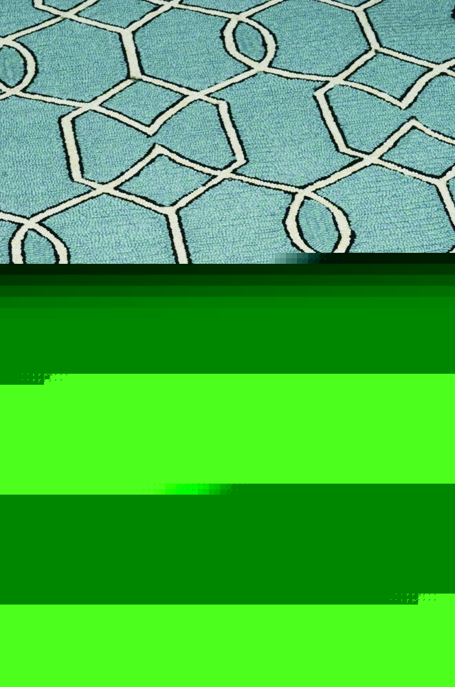 7' X 10' Green Moroccan Indoor Outdoor Area Rug