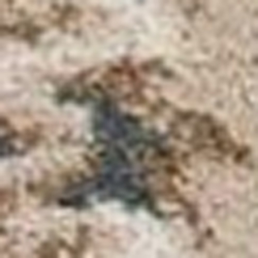 9' X 12' Slate Blue And Red Floral Medallion Area Rug