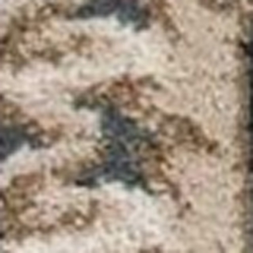 8' X 10' Slate Blue And Red Floral Medallion Area Rug