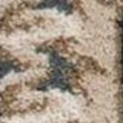 8' X 10' Slate Blue And Red Floral Medallion Area Rug